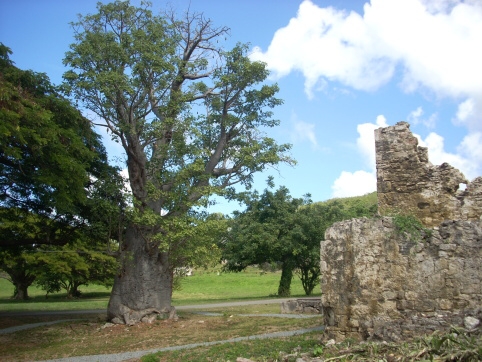 Seminar on Virgin Islands 2008